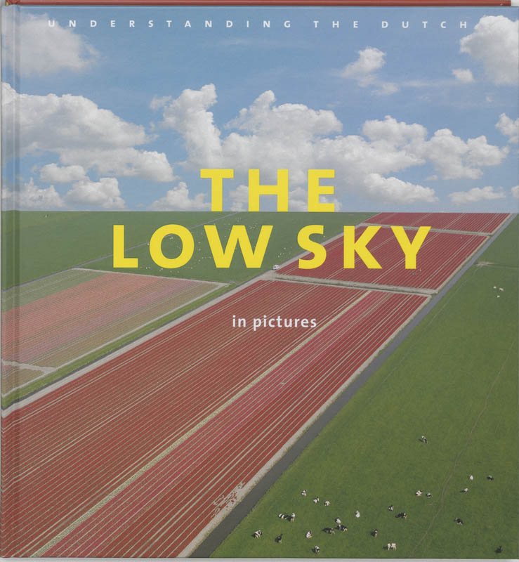 Omslag van The low sky in pictures