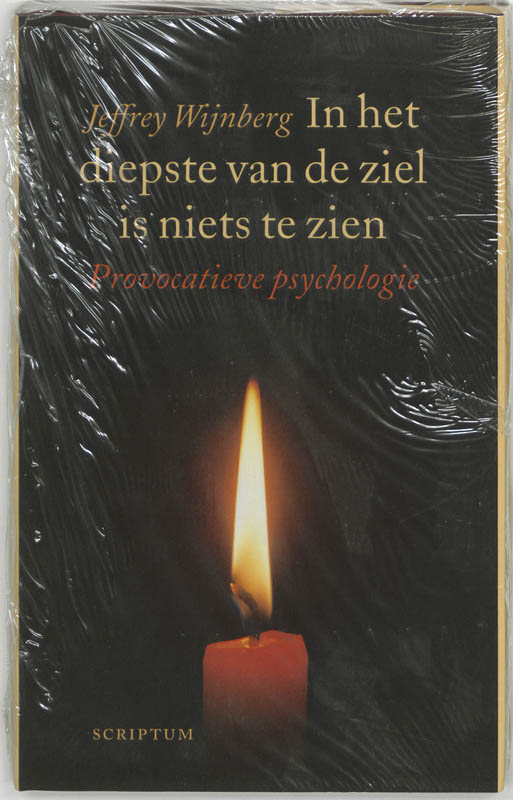 Omslag van In het diepste van de ziel is niets te zien