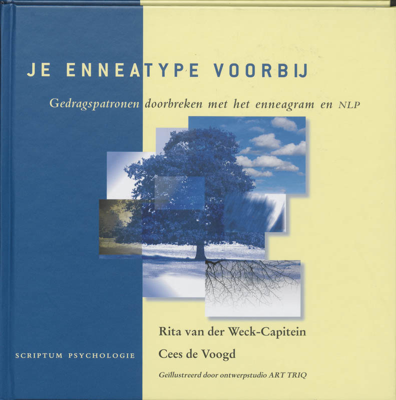 Omslag van Je enneatype voorbij