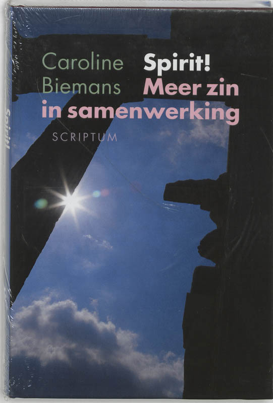 Omslag van Spirit! Meer zin in samenwerking