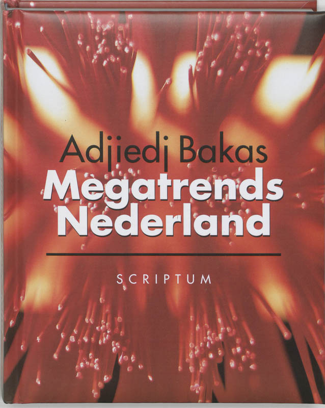 Omslag van Megatrends Nederland