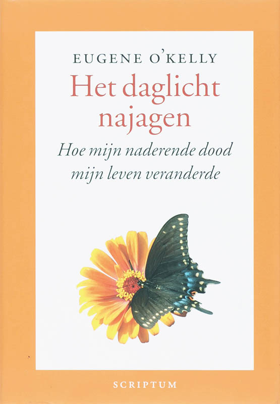 Omslag van Het daglicht najagen