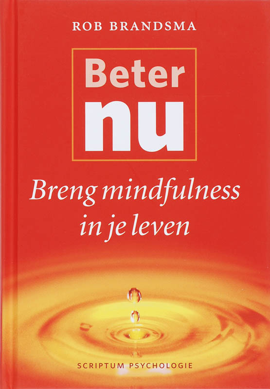 Omslag van Beter nu