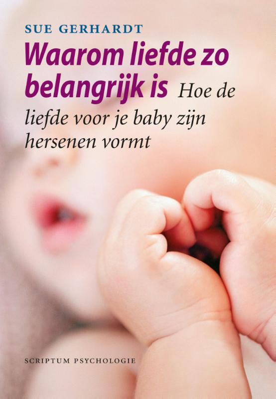 Omslag van Waarom liefde zo belangrijk is