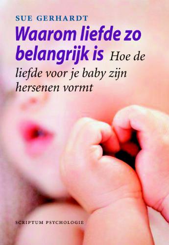 Omslag van Waarom liefde zo belangrijk is
