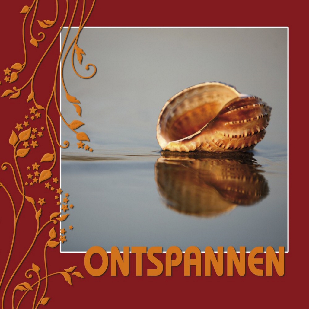 Omslag van Ontspannen