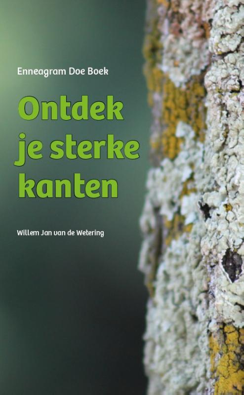Omslag van Ontdek je sterke kanten