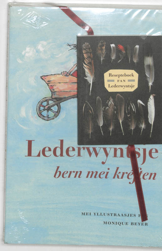Omslag van Lederwyntsje