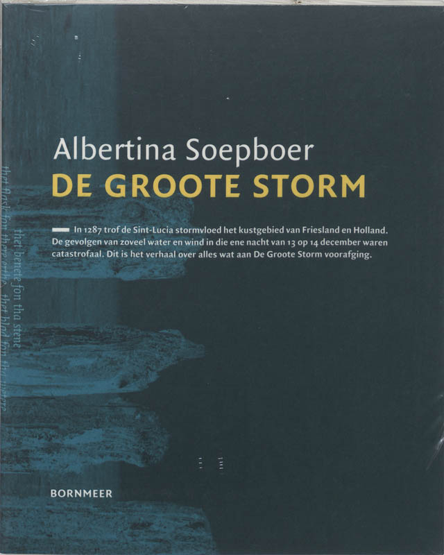 Omslag van De Grutte Stoarm