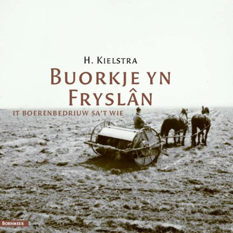 Omslag van Buorkje yn Fryslân
