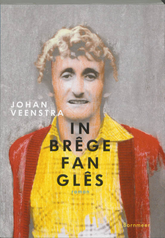 Omslag van In brêge fan glês