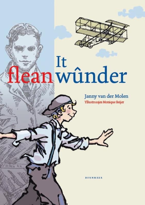 Omslag van It fleanwûnder