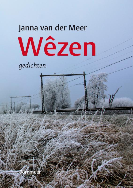 Omslag van Wêzen