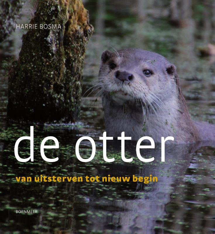 Omslag van De otter