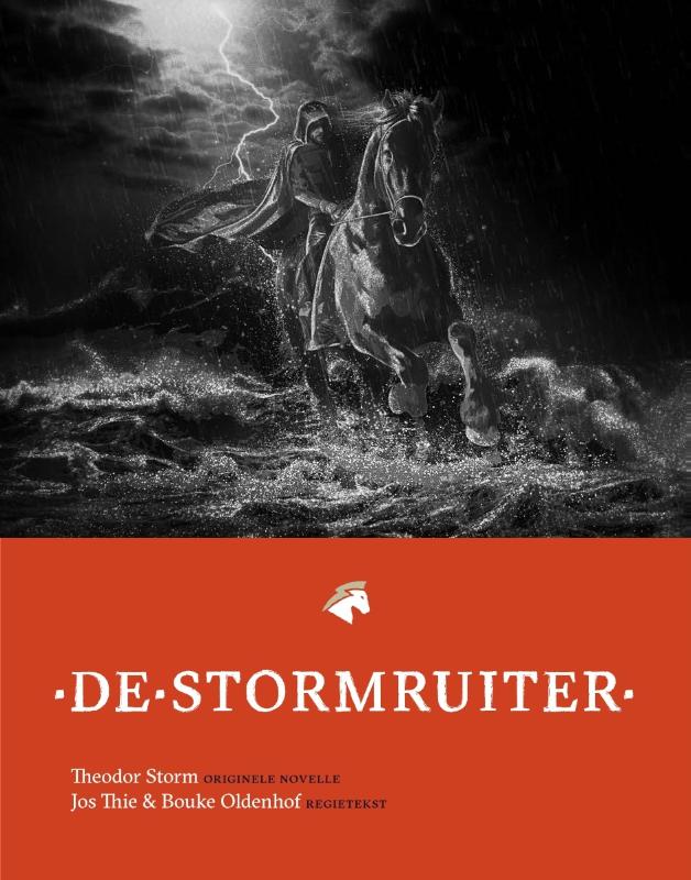 Omslag van De Stormruiter