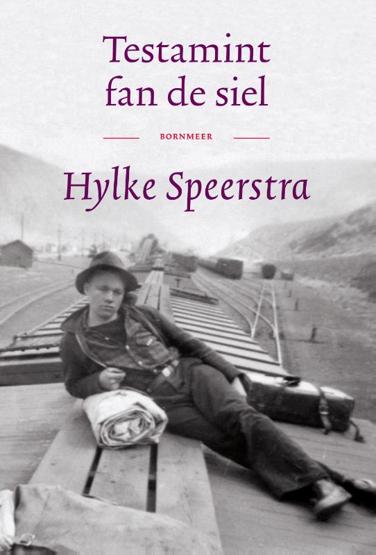 Omslag van Testamint fan de siel