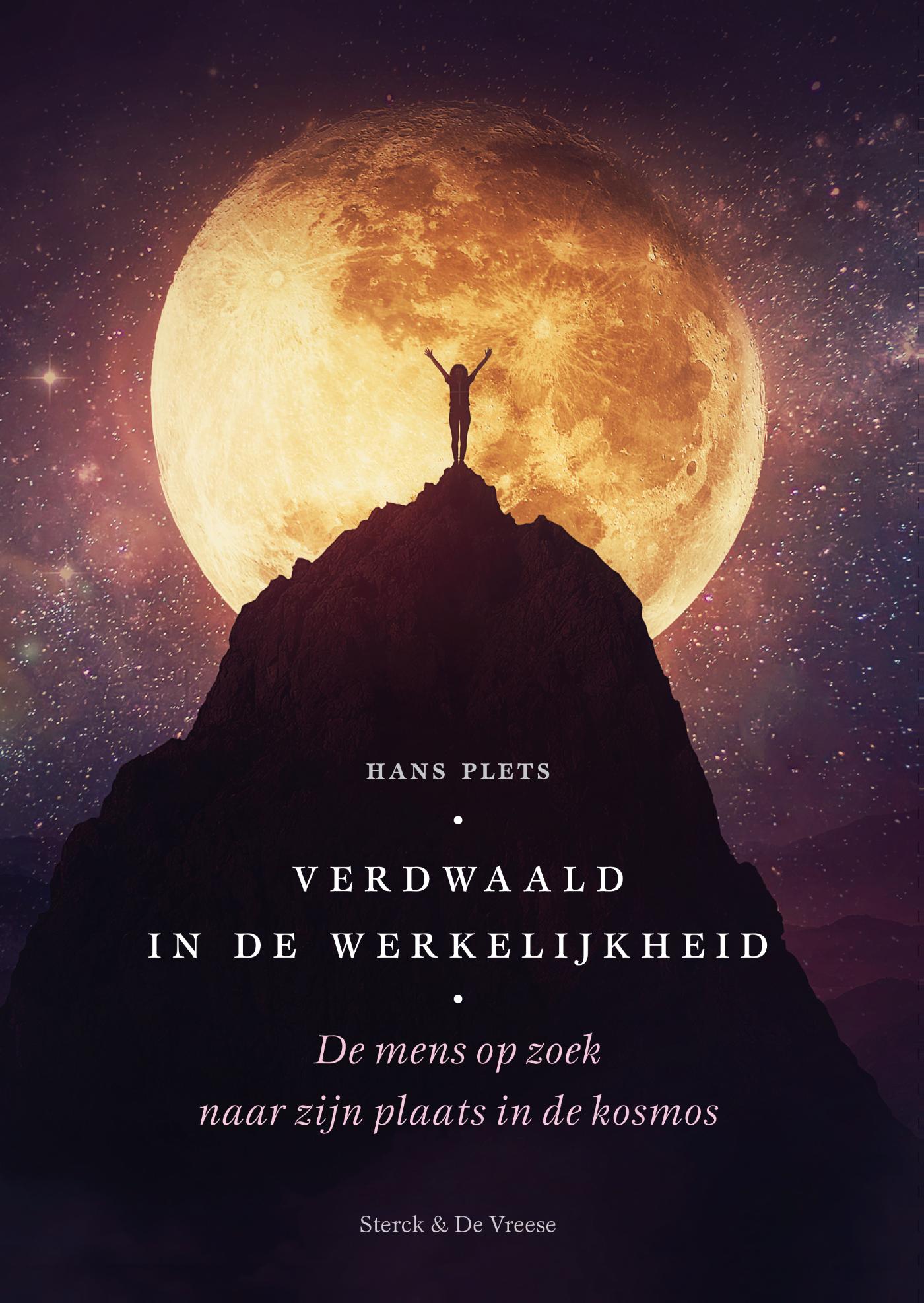 Omslag van Verdwaald in de werkelijkheid