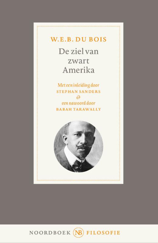 Omslag van De ziel van zwart Amerika