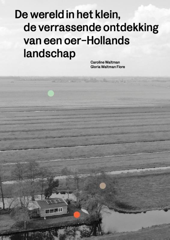 Omslag van De wereld in het klein