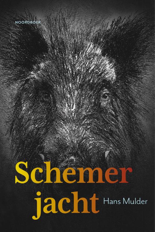 Omslag van Schemerjacht