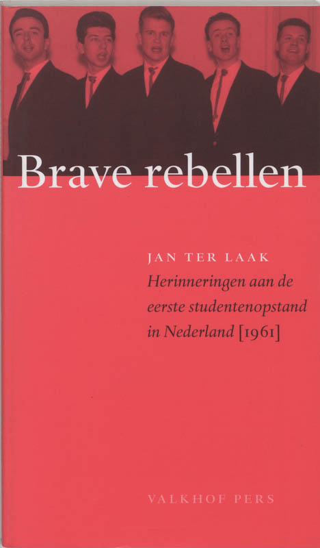 Omslag van Brave rebellen