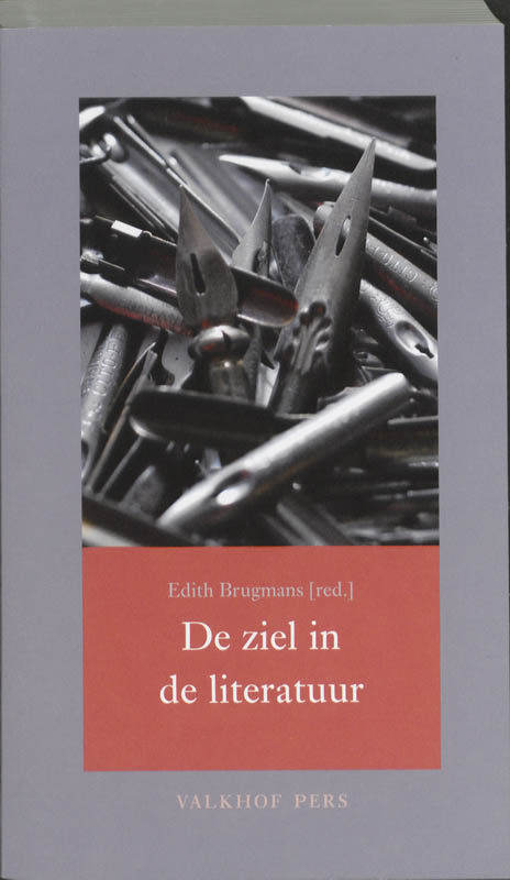 Omslag van De ziel in de literatuur