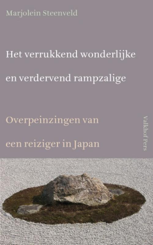 Omslag van Het verrukkend wonderlijke en verdervend rampzalige