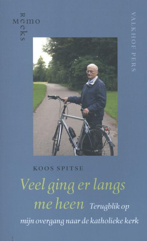 Omslag van Veel ging er langs me heen
