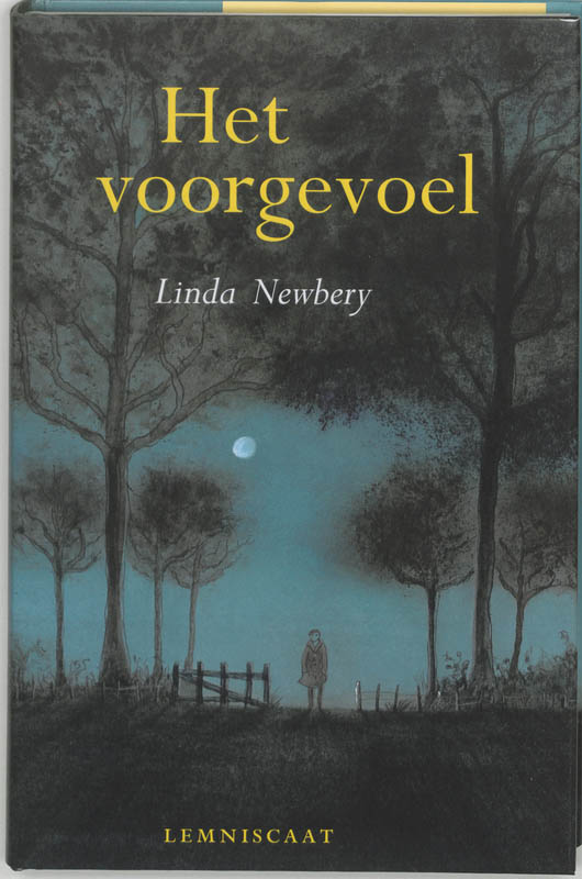 Omslag van Het voorgevoel