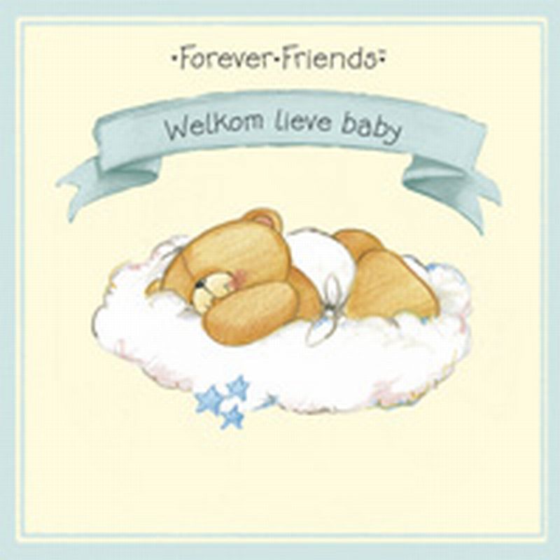 Omslag van Welkom lieve baby