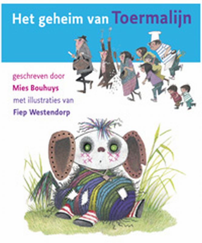 Omslag van Het geheim van Toermalijn