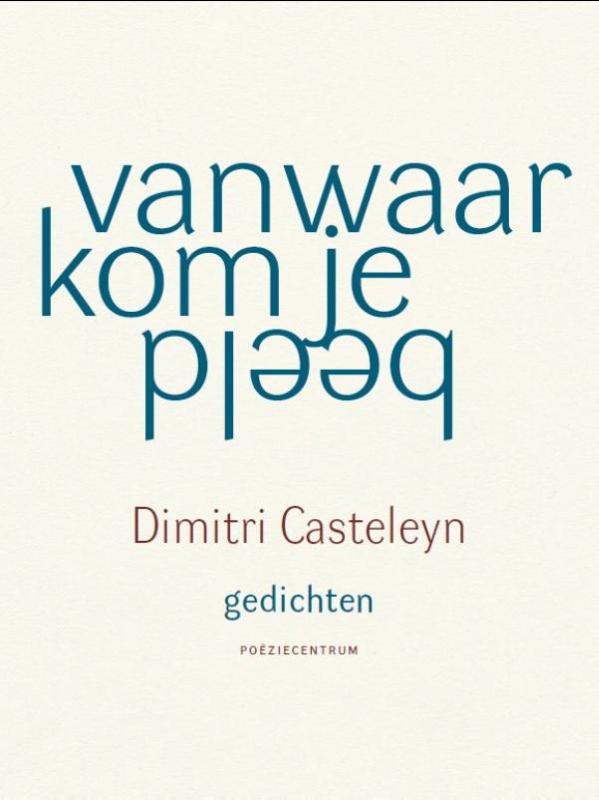 Omslag van Vanwaar kom je beeld
