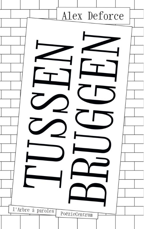 Omslag van Tussenbruggen