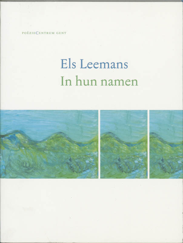 Omslag van In hun namen