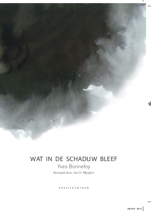 Omslag van Wat in de schaduw bleef
