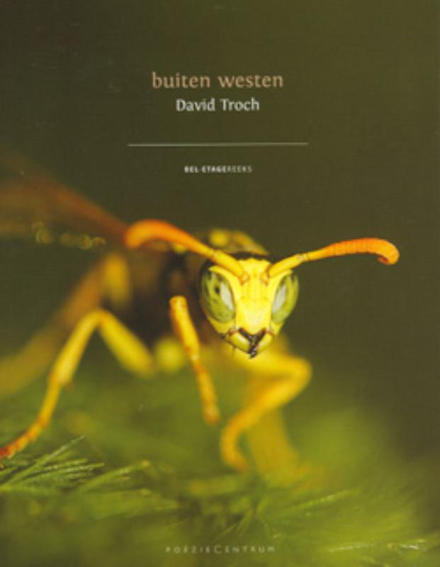 Omslag van Buiten westen