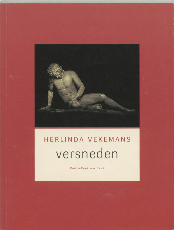Omslag van Versneden