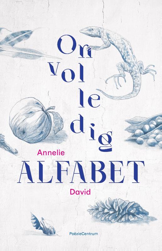 Omslag van Onvolledig alfabet
