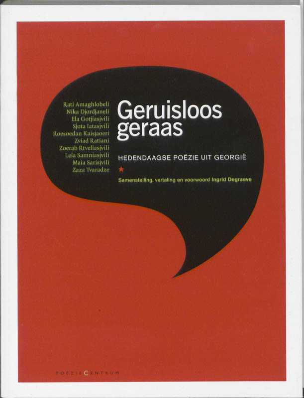 Omslag van Geruisloos geraas
