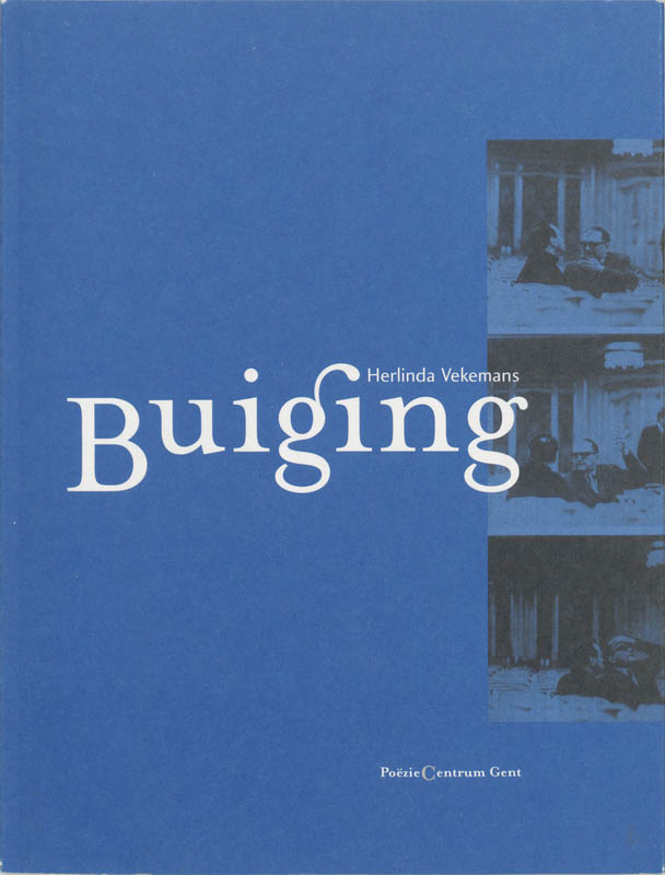 Omslag van Buiging