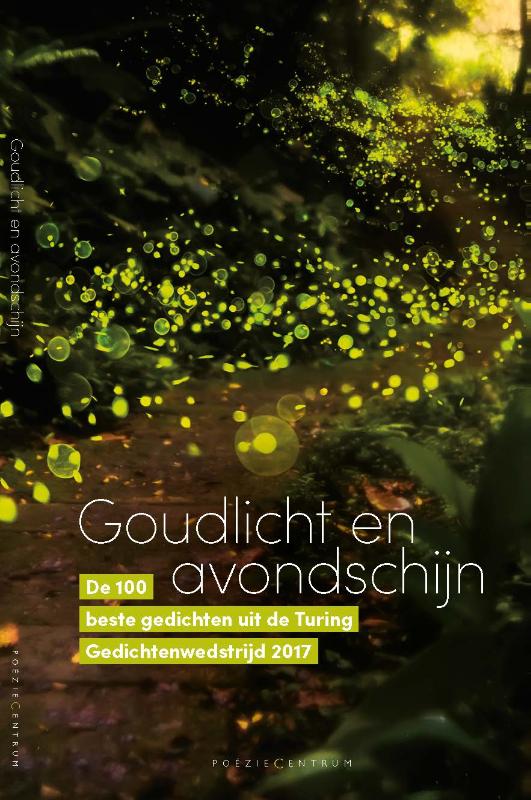 Omslag van Goudlicht en avondschijn