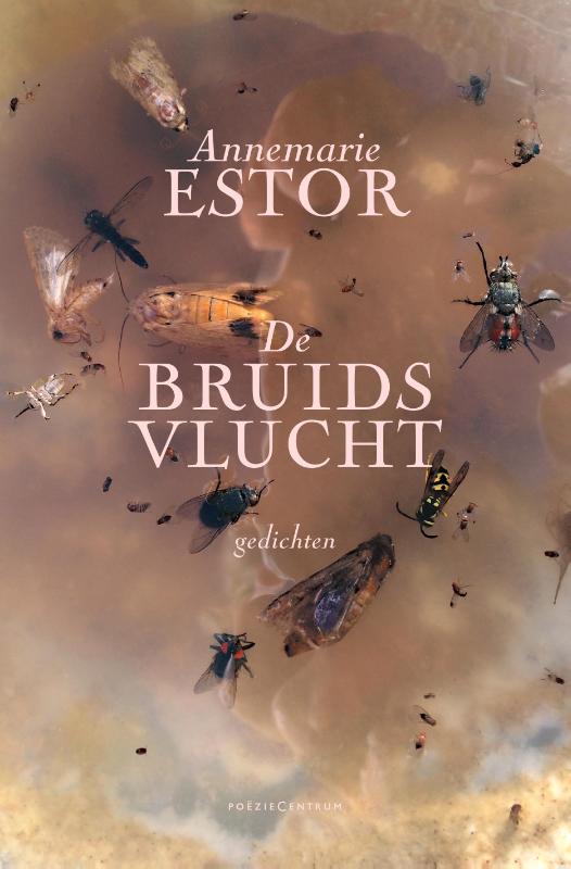Omslag van De bruidsvlucht