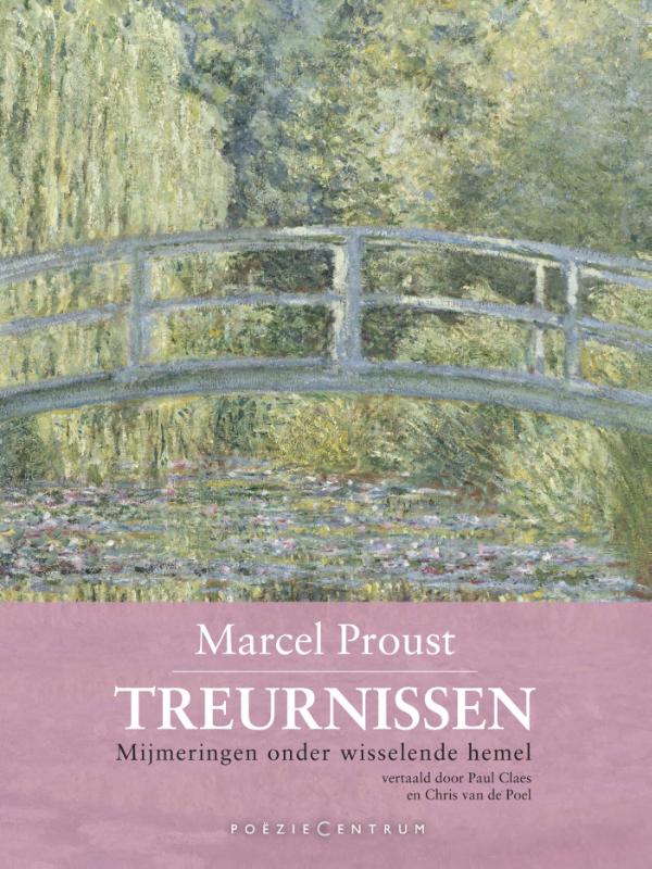 Omslag van Treurnissen