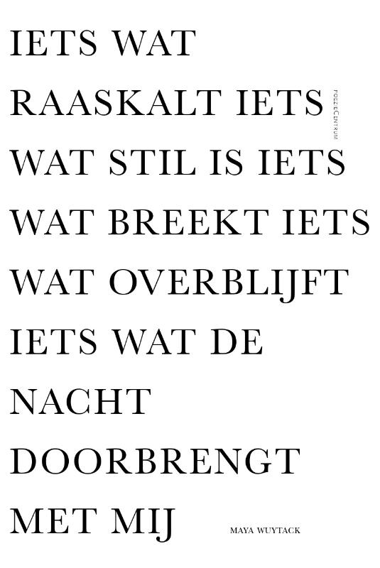 Omslag van Iets wat raaskalt iets wat stil is iets wat breekt iets wat overblijft iets wat de nacht doorbrengt met mij