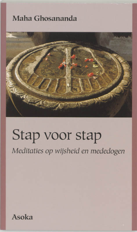 Omslag van Stap voor stap