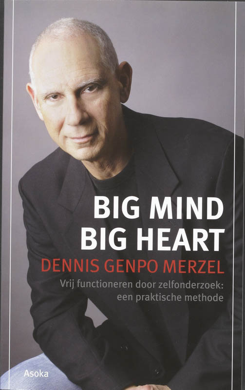 Omslag van Big Mind