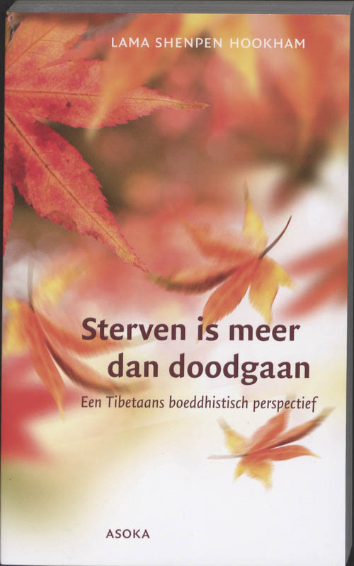 Omslag van Sterven is meer dan doodgaan