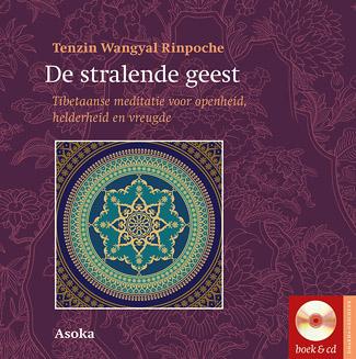 Omslag van De stralende geest