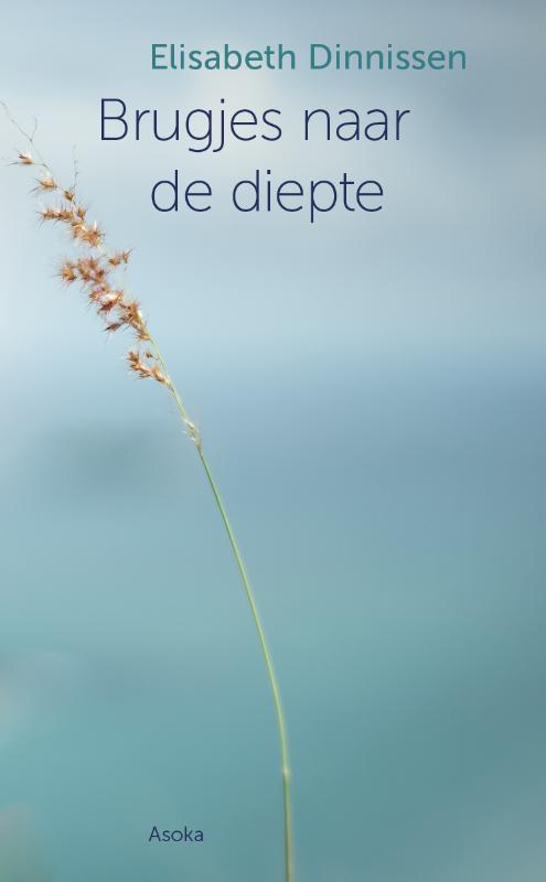Omslag van Brugjes naar de diepte