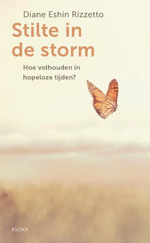 Omslag van Stilte in de storm